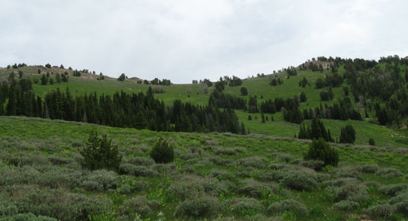 Boardman Pass in the Pioneer Mountains of Idaho