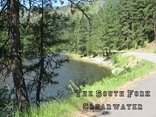 View along the Clearwater River Idaho