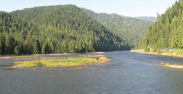 Lochsa and Selway Rivers combine to form the Clearwater River