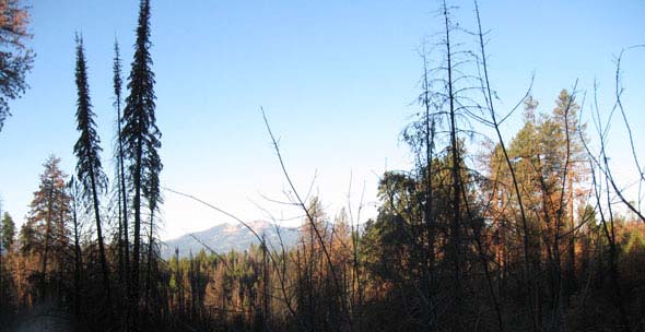 Sun rising on the Idaho mountain tops