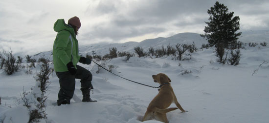 Erica and Charlie in the deep Idaho snow