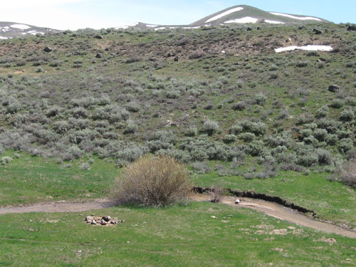 Crown Creek before it enters a canyon