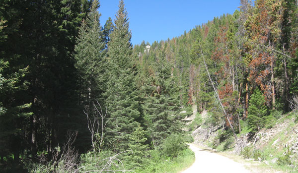 Bryant Creek Road to Calvert Mines in Montana