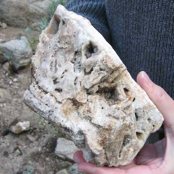 chop stick agate from Silver City Mountains