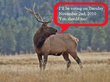 Even Idaho elk vote during hunting season