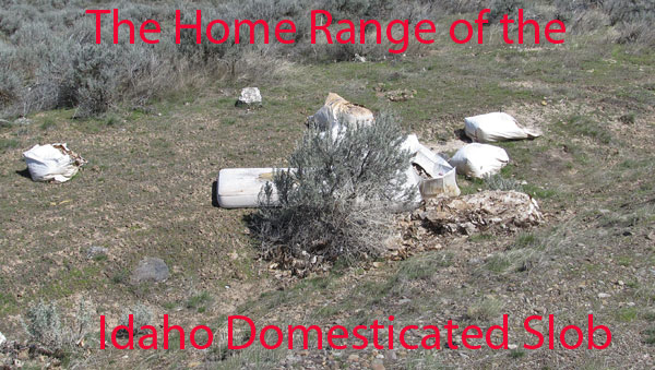 Home range of the Idaho Domesticated Slob