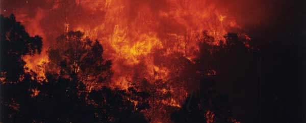 Info about forest fires in Idaho