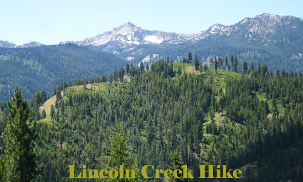 Views from my Lincoln Creek Hike near Featherville Idaho