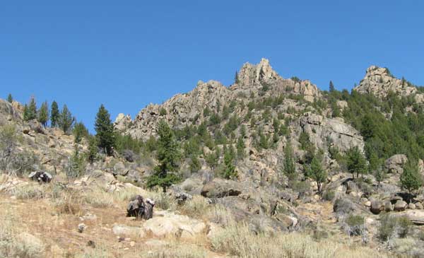 Scences from an ATV Ride through the Silver City Idaho Area