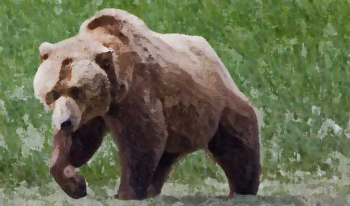 idaho-grizzly-bear