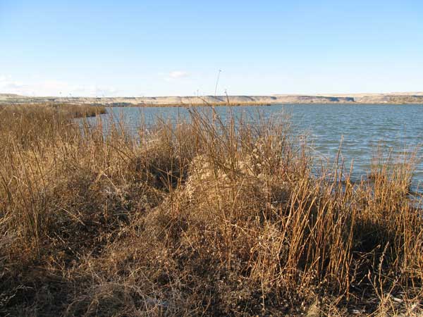 View of Snake River from near the Loveridge Bridge off Highway 51 in Idaho