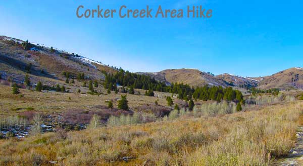 Corker Creek area hike by Tim Bondy