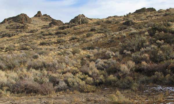 Owyhee Mountains Lone Juniper Creek Hike View