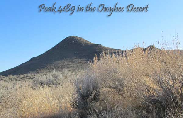 Rock hounding Owyhee Peak 4189