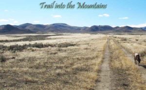 Rock hunting trail to Owyhee mountain peak