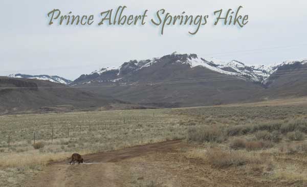 Bondy hikes to the Prince Albert Hot Springs in Idaho