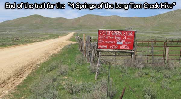 The 4 Springs of Long Tom Creek Hike endpoint