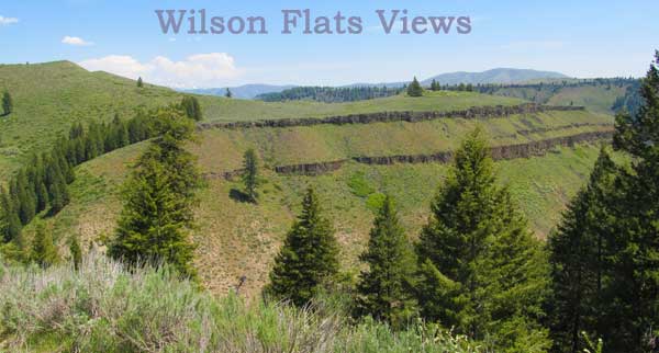 Bondy hikes up to Wilson Flats