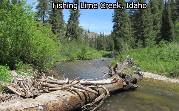 Fishing Idaho's Lime Creek