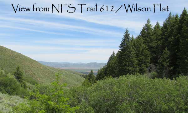 Wilson Flat and NFS Trail 612 ATV Trip
