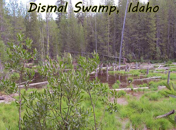 Dismal Swamp Idaho