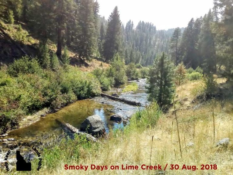 Hike-in Fishing Trip of Lime Creek - 30 Aug 2018 - Bondy's Outdoor Idaho